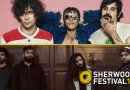 The Zen Circus + Fast Animals And Slow Kids allo Sherwood 2017